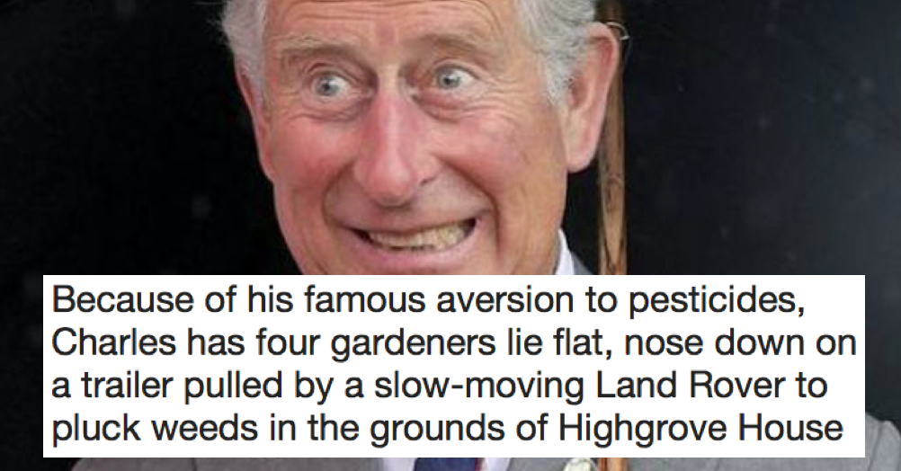 9 Stories From That New Book About Prince Charles Most Likely To Turn ...