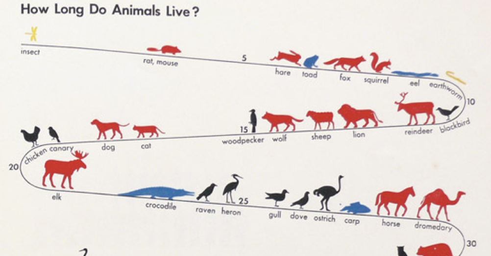 average-animal-lifespan-chart-the-poke