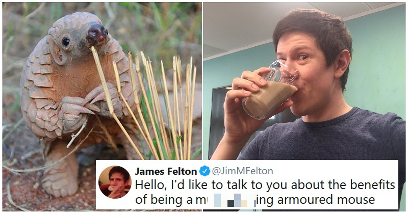 17 times Jim Felton made Twitter a much funnier place - The Poke