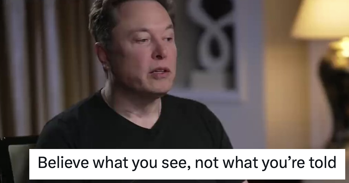 This Magnificent Elon Musk Takedown Goes Straight Into The Hall Of Fame ...