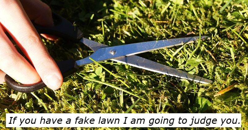 If you have a fake lawn I am going to judge you